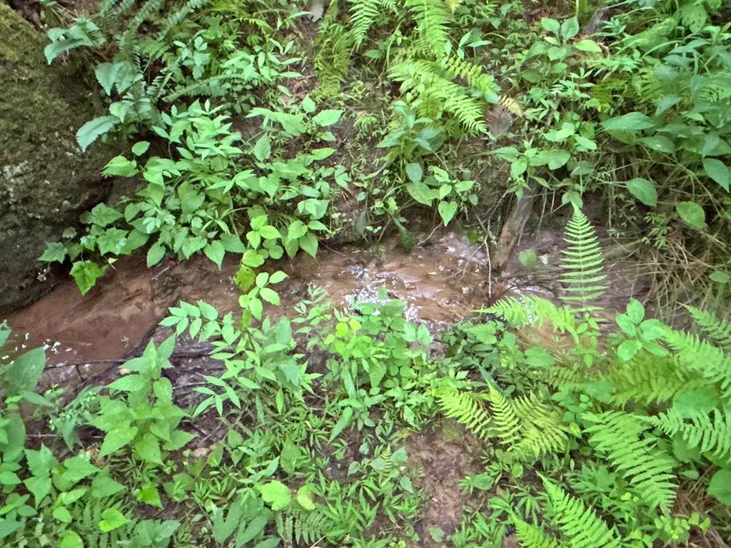 Picture 30