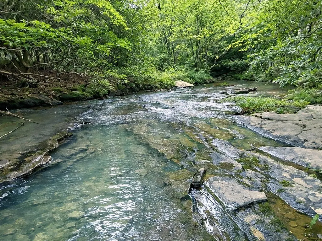 Picture 29