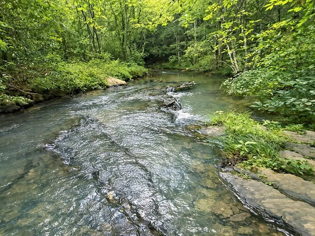 Picture 30