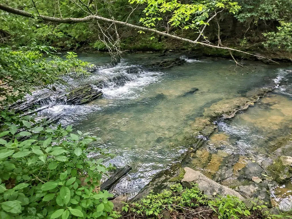 Picture 18