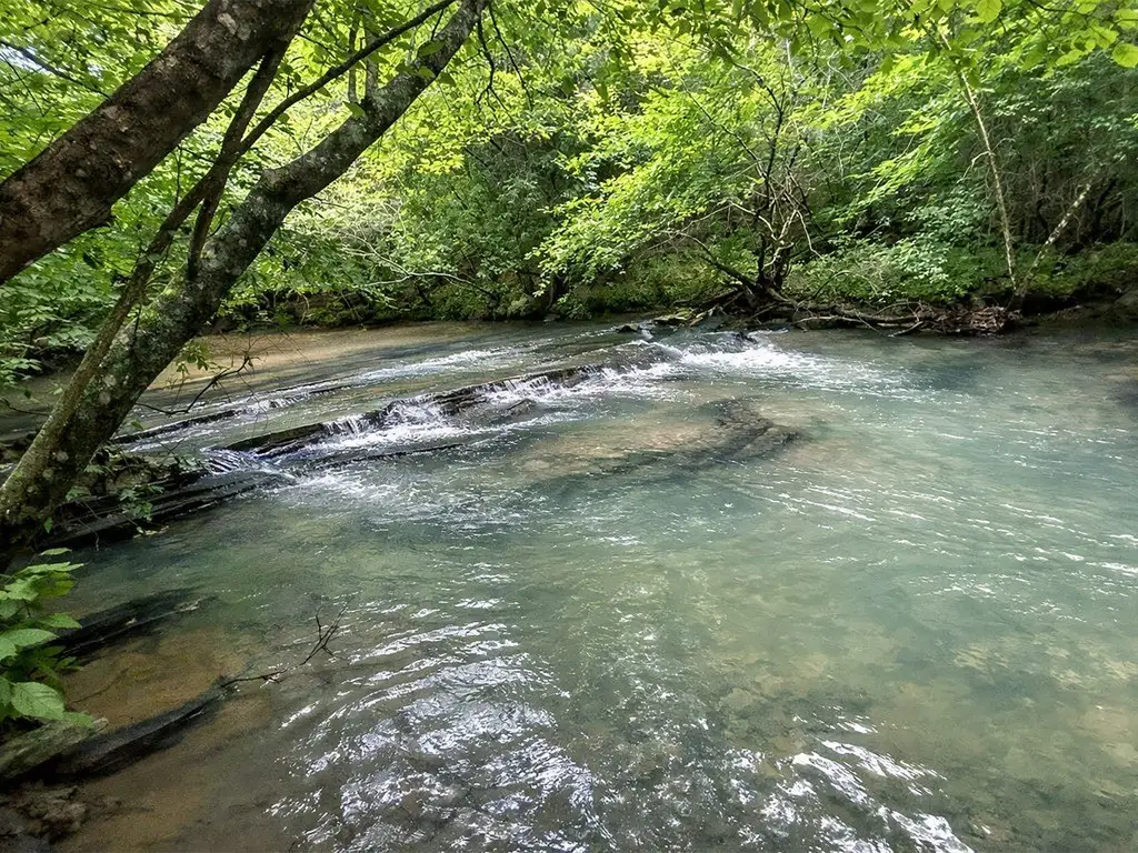 Picture 14