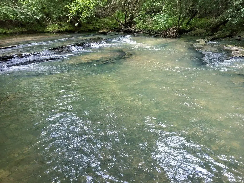 Picture 16