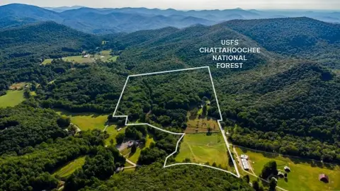 Mountain Acreage with Cottage