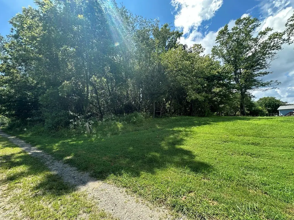 Picture 4
