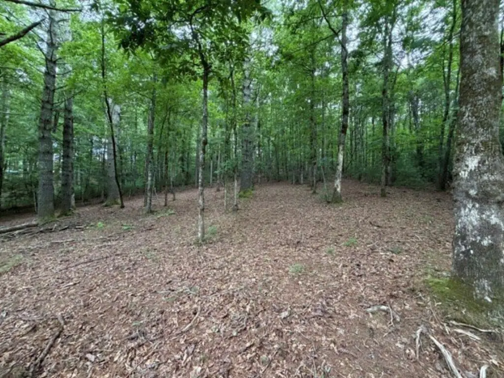 Picture 9