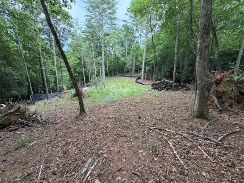 Picture 10