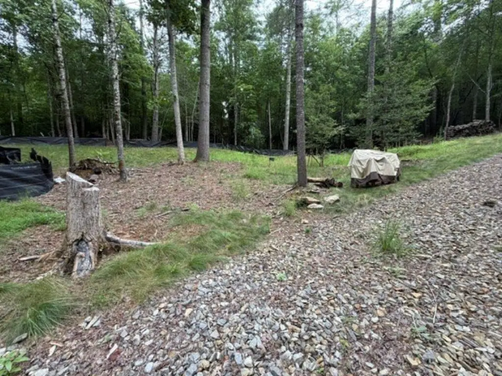 Picture 15