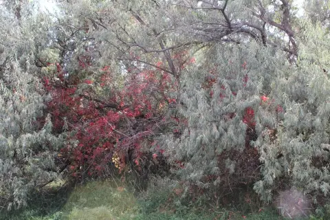 Residential Lots in Newer Neighborhood