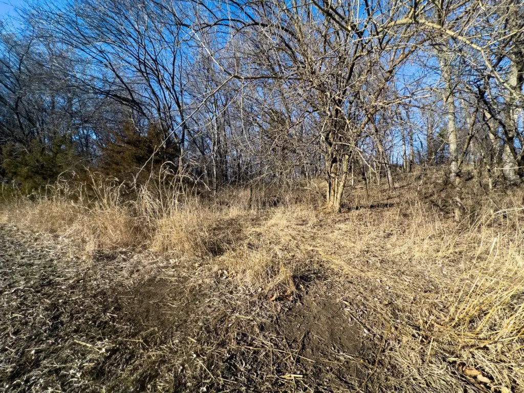 Picture 43
