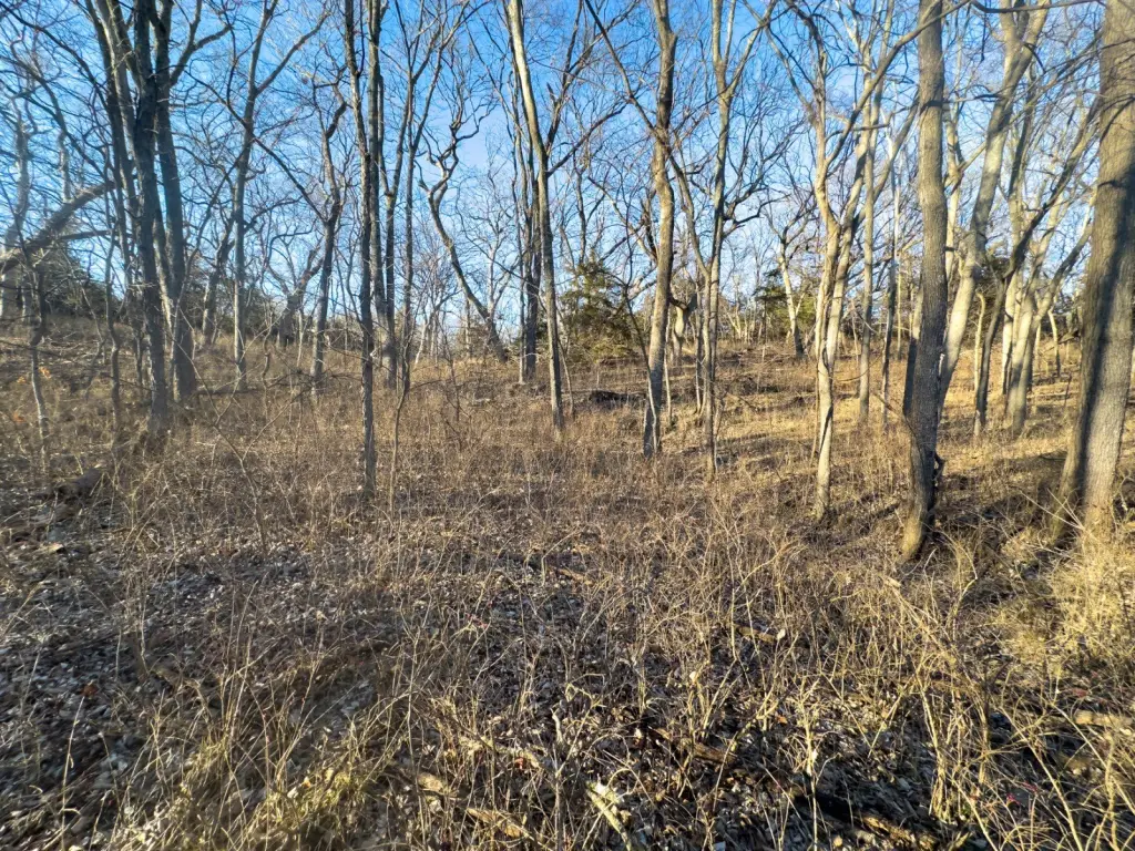 Picture 52