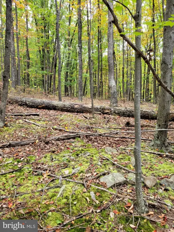 Picture 5