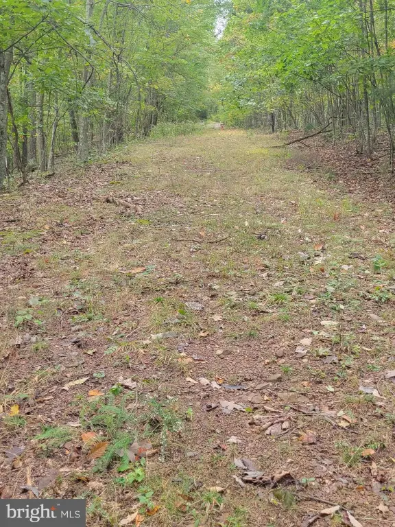 Picture 6