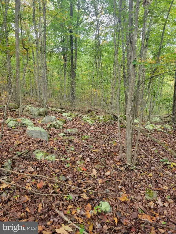 Picture 4