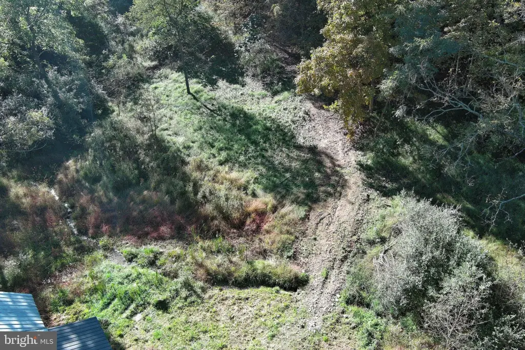 Picture 41
