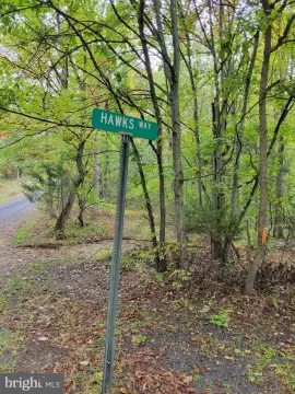 Wooded Hunting Land