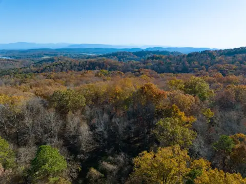 Knoxville Vacant Land Opportunity