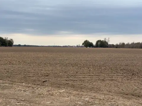 Newellton Farmland with Highway Frontage