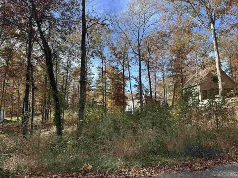 Wooded Lot Near Pickwick Lake