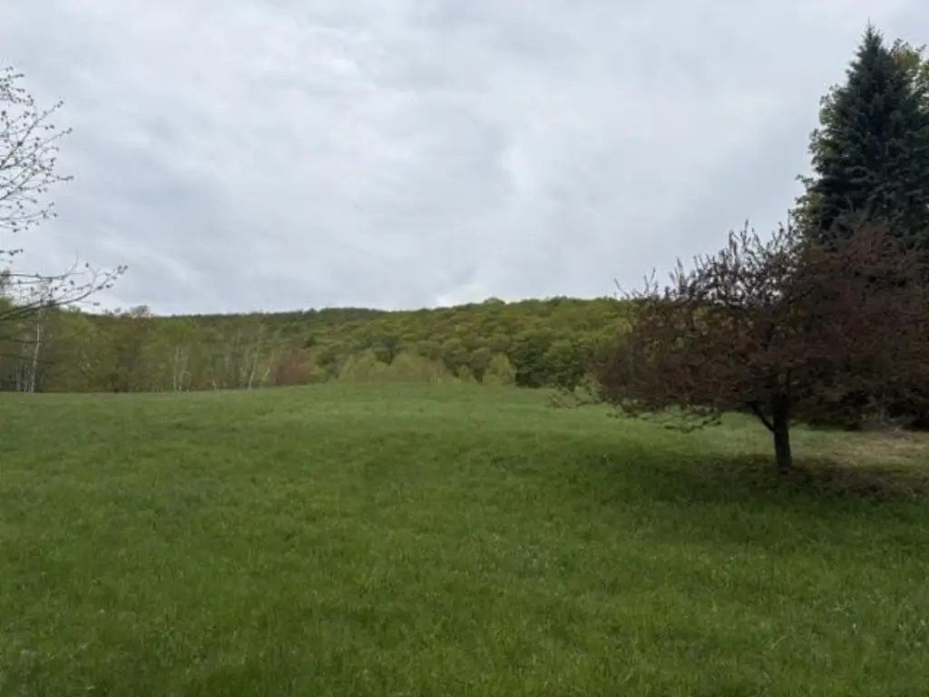 Picture 10