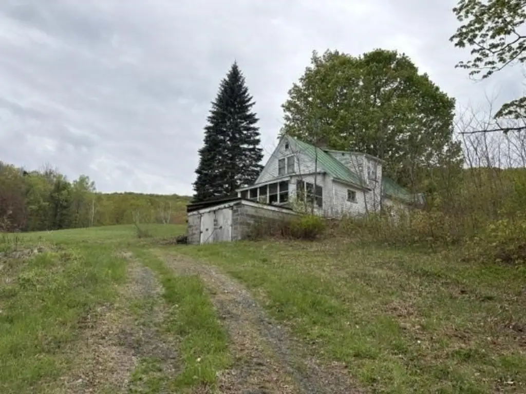 Picture 14