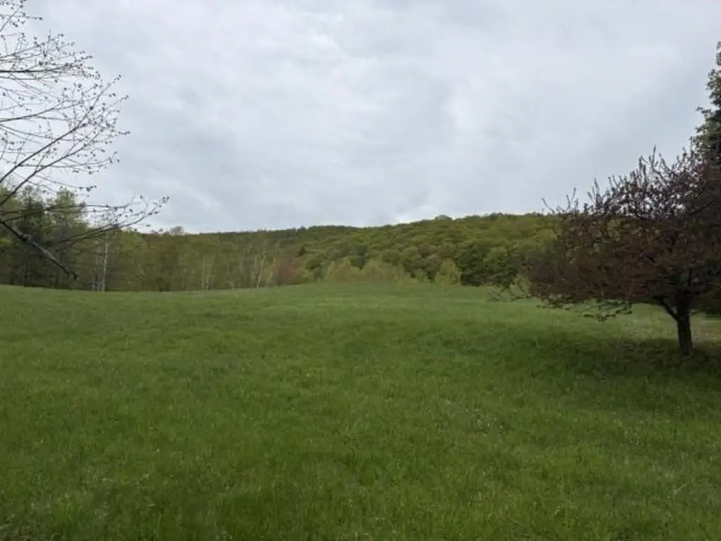 Picture 6