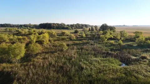 24 Acres Hunting and Cropland