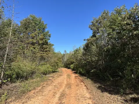 Recreational/Timber Land For Sale