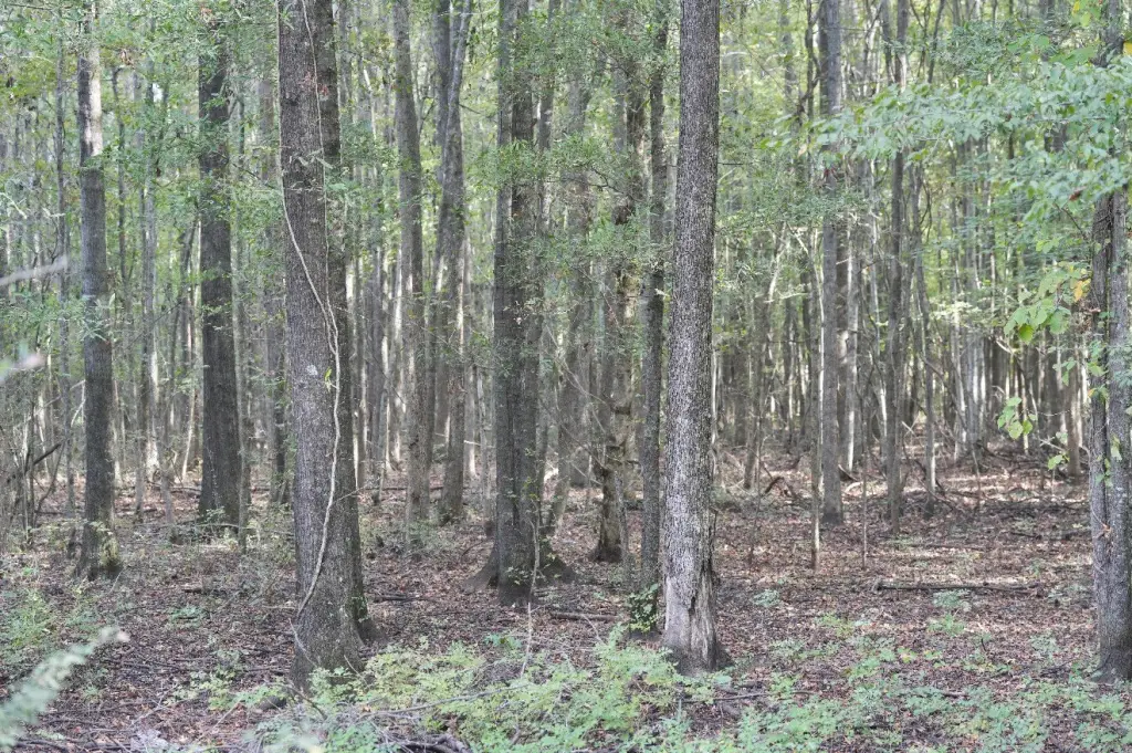 Picture 22