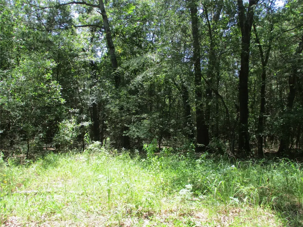 Picture 9