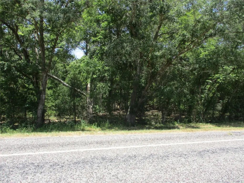 Picture 14