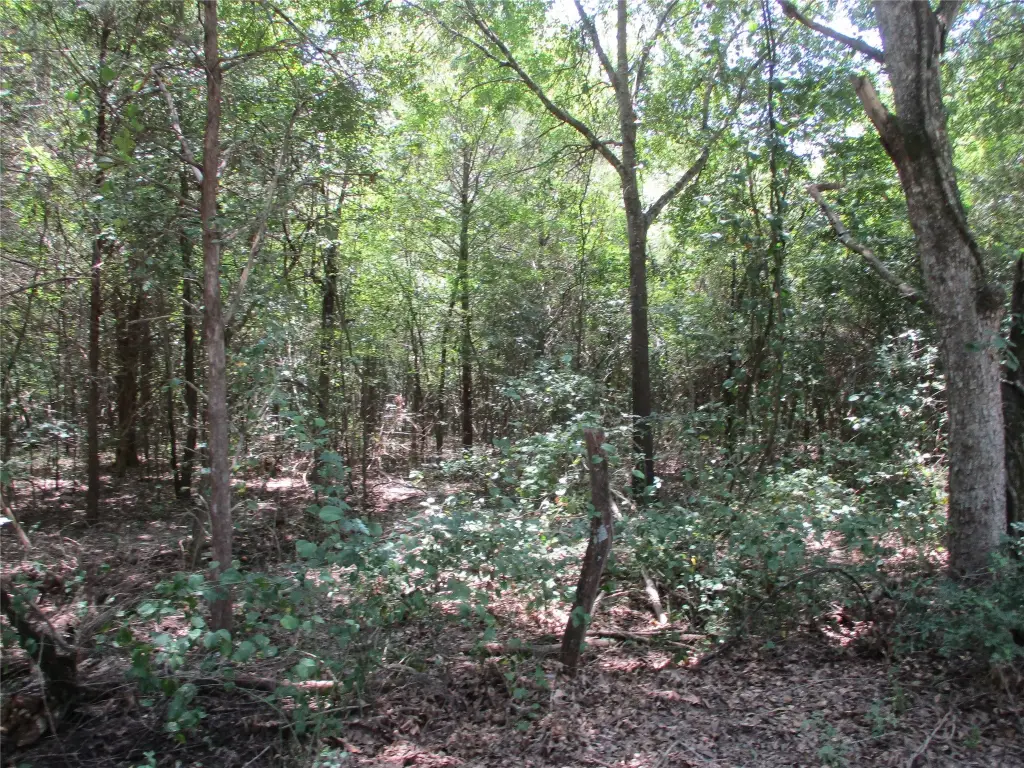Picture 10