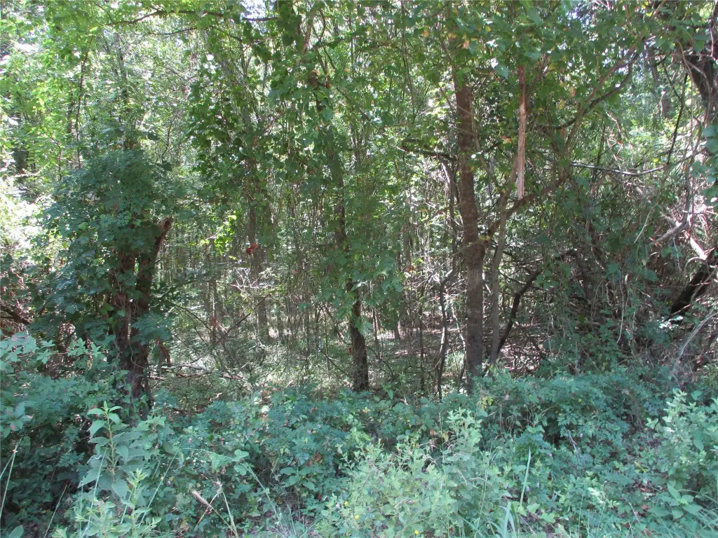 Picture 4