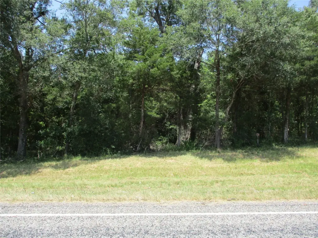 Picture 15