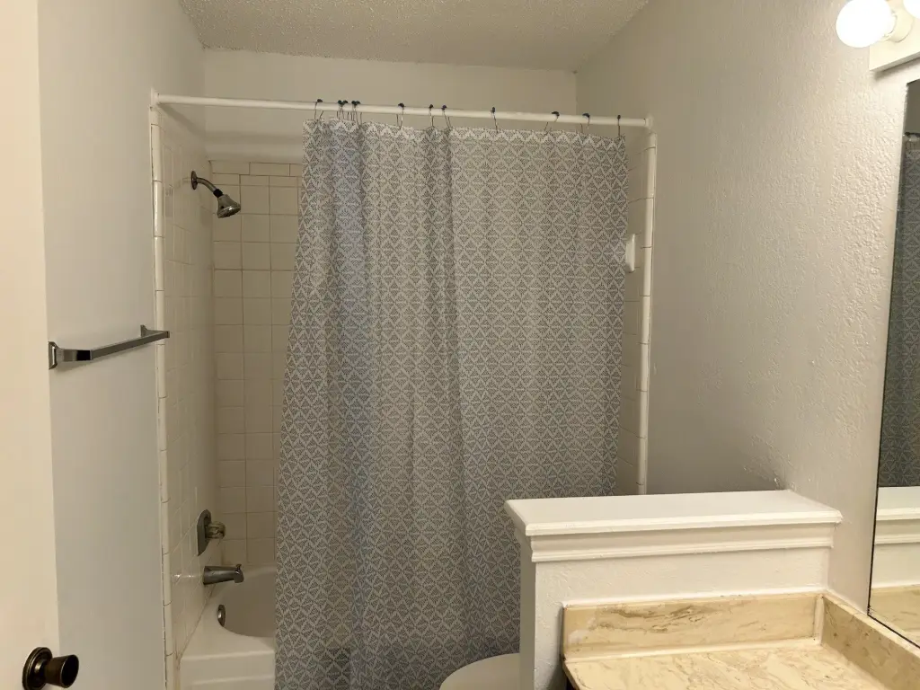 Picture 19