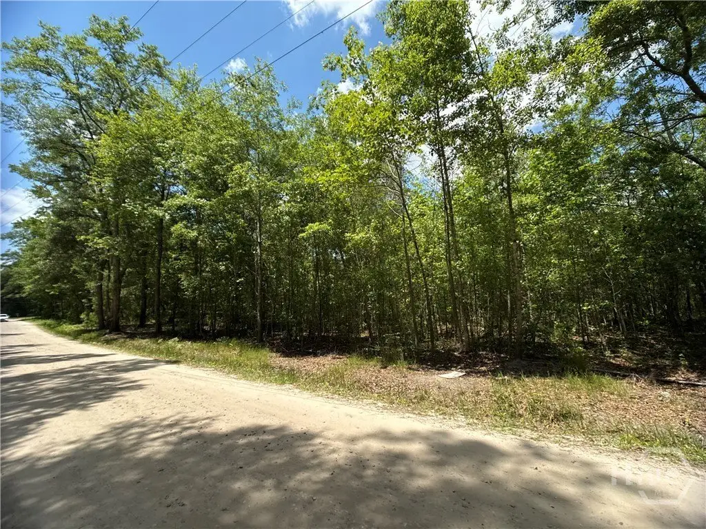 Picture 5