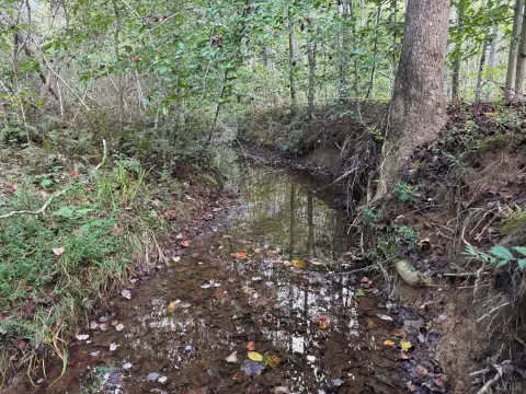 Shipman, VA Wooded Land