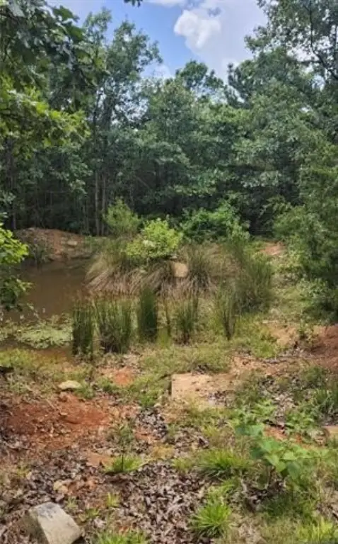 Picture 10