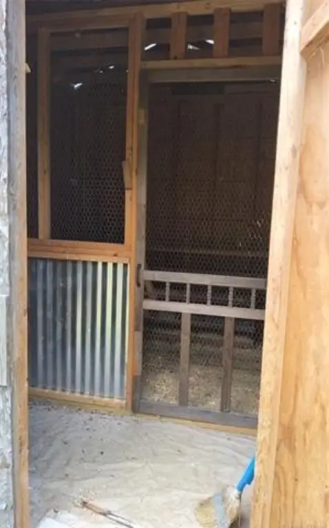 Picture 13