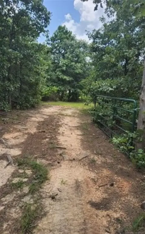 Picture 4