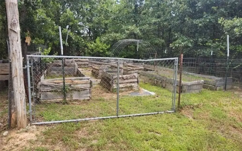 Picture 15