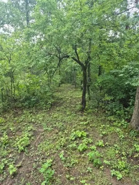 Picture 3