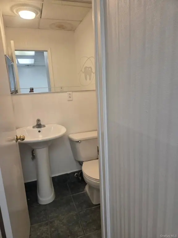 Picture 17