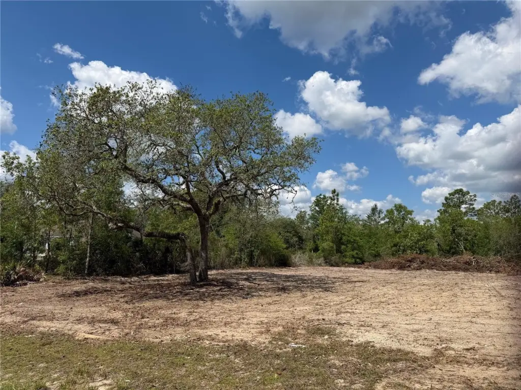 Picture 4