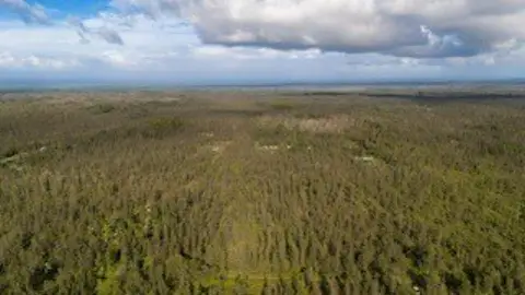 Spacious Land Parcel in Mountain View