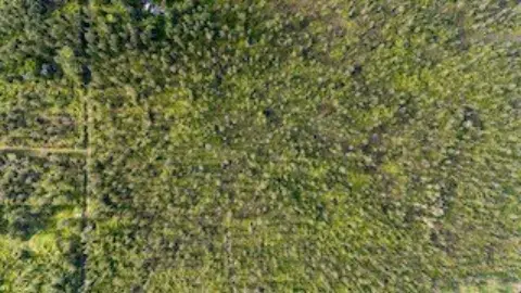 Spacious Land Parcel in Mountain View