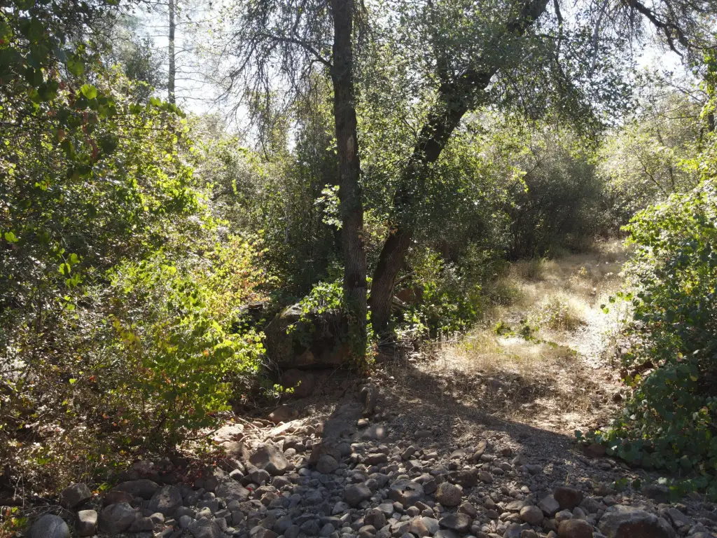 Picture 36