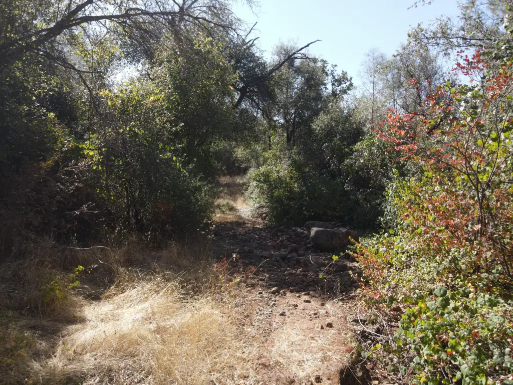 Picture 37