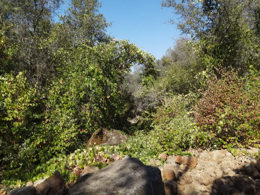 Picture 34