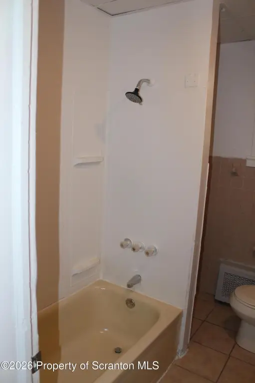 Picture 39