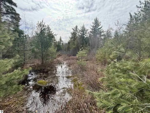 Secluded 280-Acre Hunting Land
